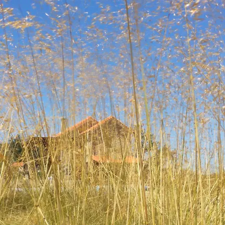 Quinta Da Adarnela *