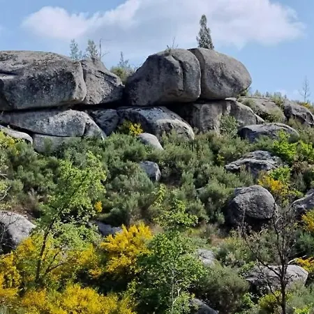Daire Quinta Da Adarnela Lagares da Beira