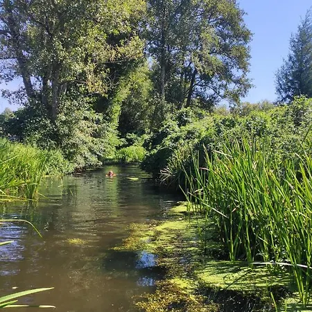 Quinta Da Adarnela Apartamento