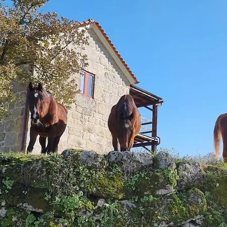 公寓 Quinta Da Adarnela