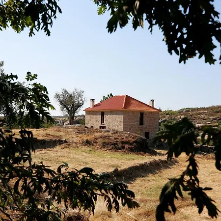 Quinta Da Adarnela 公寓 Lagares da Beira