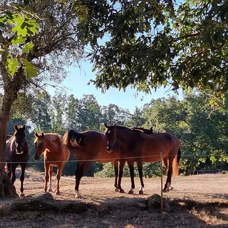 Quinta Da Adarnela 公寓