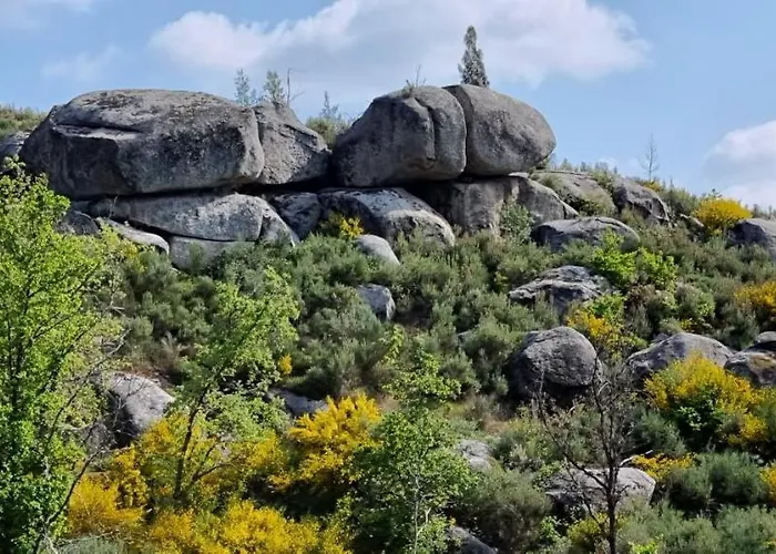 דירה Quinta Da Adarnela Lagares da Beira