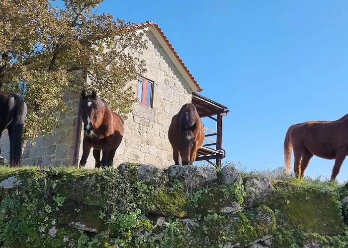 דירה Quinta Da Adarnela