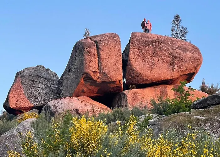 Quinta Da Adarnela アパート *