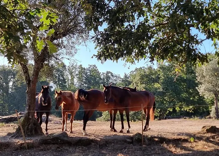 Quinta Da Adarnela アパート