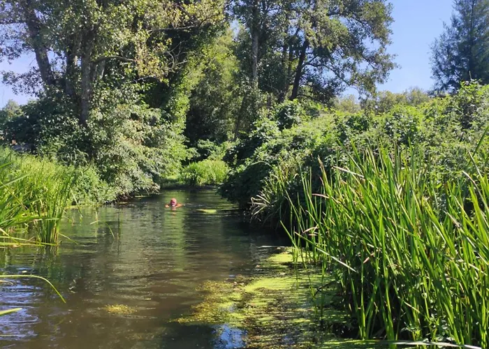 Quinta Da Adarnela Lagares da Beira